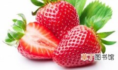 菠萝草莓种植方法 菠萝草莓如何种植