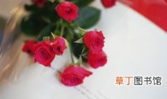 玫瑰花保存的方法 玫瑰花的保存方法介绍