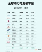 动力锂电池品牌排行榜 全球动力锂电池前十企业产品盘点