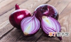 洋葱英语怎么读onion onion的读音