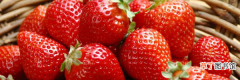 草莓多久开花结果呢草莓生长周期介绍