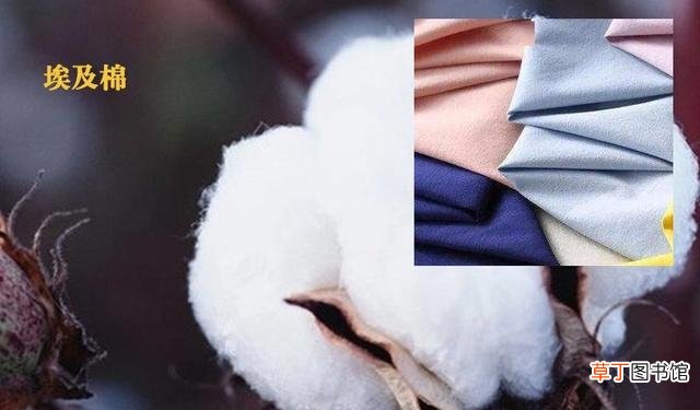 棉质面料应该怎么挑选 关于棉面料的小知识