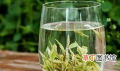 白茶是什么茶叶 白茶茶种类是什么