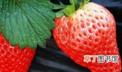 一般几月份是吃草莓的季节，草莓应该是几月份吃