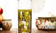 白露茶属于什么茶 白露茶所属品种