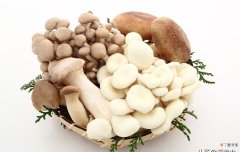 蘑菇能放多少天不坏 蘑菇长期保的小技巧