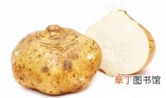 凉薯种植技术 大家看看对你有没有帮助？