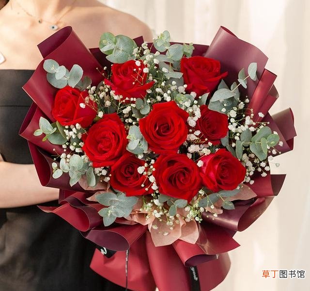 粉玫瑰和满天星搭配是什么意思 情人节适合给爱人赠送的花束