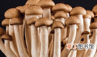 蟹味菇如何保存时间长 长时间存放蟹味菇的方法
