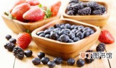 蓝莓是什么 什么是蓝莓