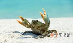 河蟹和螃蟹的区别 河蟹和螃蟹有哪些不同