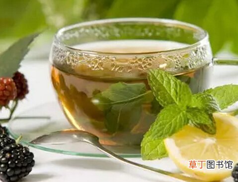 茶叶不能随便喝，你知道红茶和绿茶的区别吗？