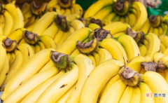 夏天香蕉怎样保存才能放久一点 夏天保存香蕉的正确方法