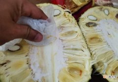 剥完菠萝蜜怎么清理手上的胶 清洗菠萝蜜树胶的四种方法