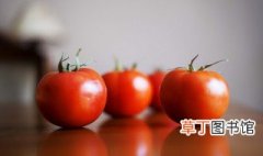 番茄是水果还是蔬菜 番茄到底是属于蔬菜还是属于水果