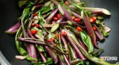 紫菜苔怎么做好吃 紫菜苔5种最好吃的做法