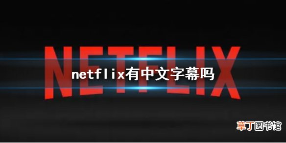 netflix有中文字幕吗 网飞中文字幕介绍
