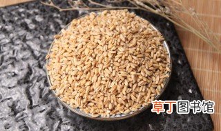 小麦的贮藏特性与贮藏方法 如何储存小麦
