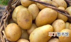 种土豆怎么种才高产 亩产万斤有可能