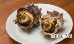 香菜拌海螺怎么做 制作香菜拌海螺的方法