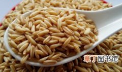 燕麦米的副作用 燕麦米吃多了的副作用