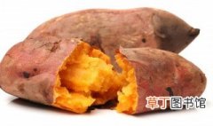 红薯烧排骨的做法 红薯烧排骨的做法步骤