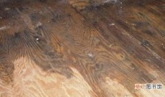 木地板泡水起鼓怎么修复 木地板泡水起鼓恢复小妙招