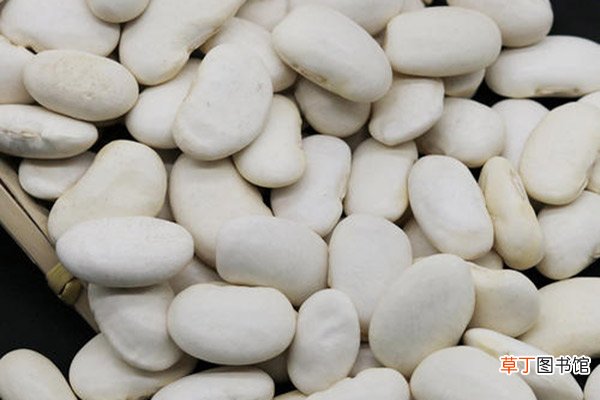 白芸豆的功效与作用 白芸豆的禁忌