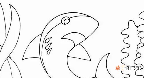 鲨鱼翅膀叫什么，鲨鱼画法教程：怎么画鲨鱼如何画鲨鱼
