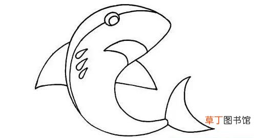 鲨鱼翅膀叫什么，鲨鱼画法教程：怎么画鲨鱼如何画鲨鱼
