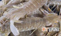 皮皮虾的制作方法 怎样制作皮皮虾吃