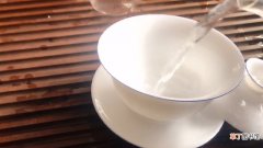 新白茶的冲泡方法和水温