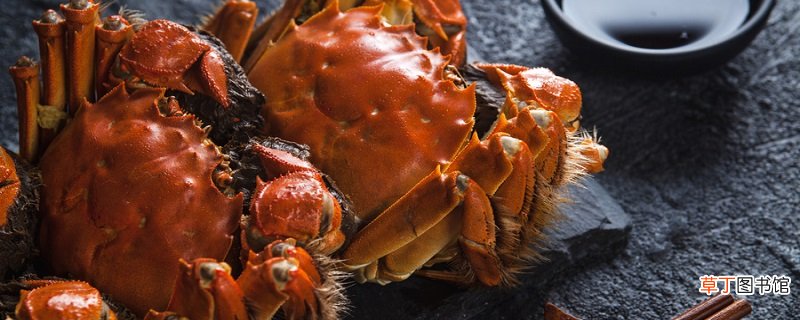 螃蟹如何保存最新鲜 死螃蟹如何保存最新鲜