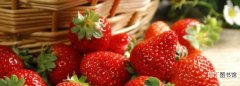 草莓洗后可以放置多久，草莓不放冰箱可以放多久
