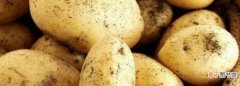 怎么判断土豆熟没熟
