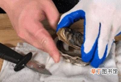 牡蛎怎么打开，怎样撬开牡蛎怎样撬开牡蛎
