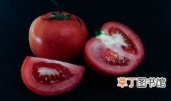 番茄炖排骨的家常做法 番茄炖排骨做法步骤