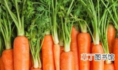 carrots怎么读 carrots如何读