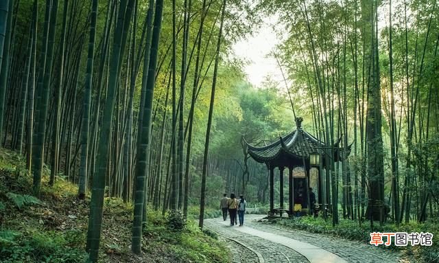 杭州灵隐寺旅游攻略完整版 去杭州旅游灵隐寺值得一去吗