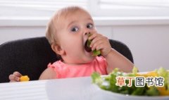 宝宝辅食佛手瓜怎么做好吃 佛手瓜怎么做给宝宝吃