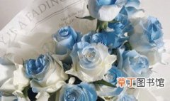 冰蓝玫瑰寓意 冰蓝色玫瑰花语是什么