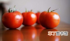 西红柿牛腩怎么做的 西红柿牛腩的制作方法