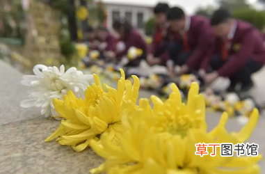 2023年春节公墓祭奠是否停止 2021年祭扫烈士墓美篇