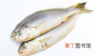 广东焖鱼的做法 正宗潮汕焖鱼的制作方法