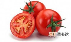 西红柿种植禁忌 这些你知道吗