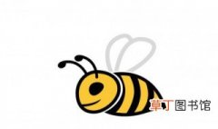 常见的蜜蜂种类有哪些 常见的蜜蜂种类都有哪些