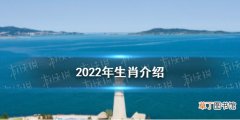 2022年属什么生肖 2022年生肖介绍