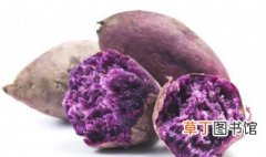 紫薯和鸡蛋相克吗 紫薯可以和鸡蛋一起吃吗