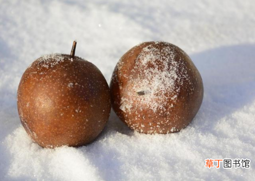 冻梨用冷水泡多久能吃 冻梨用冷水泡多久能吃了