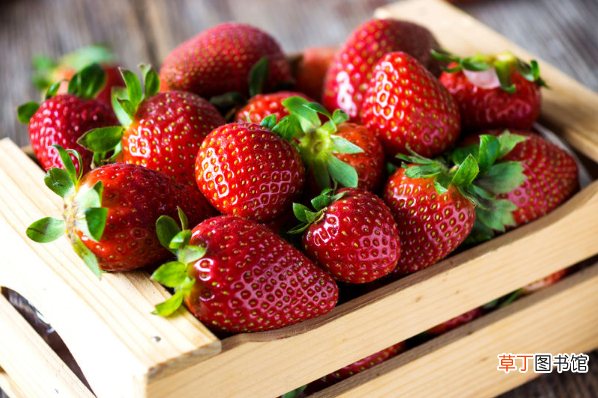 草莓不能和什么一起吃 草莓不能和什么一起吃食物相克表